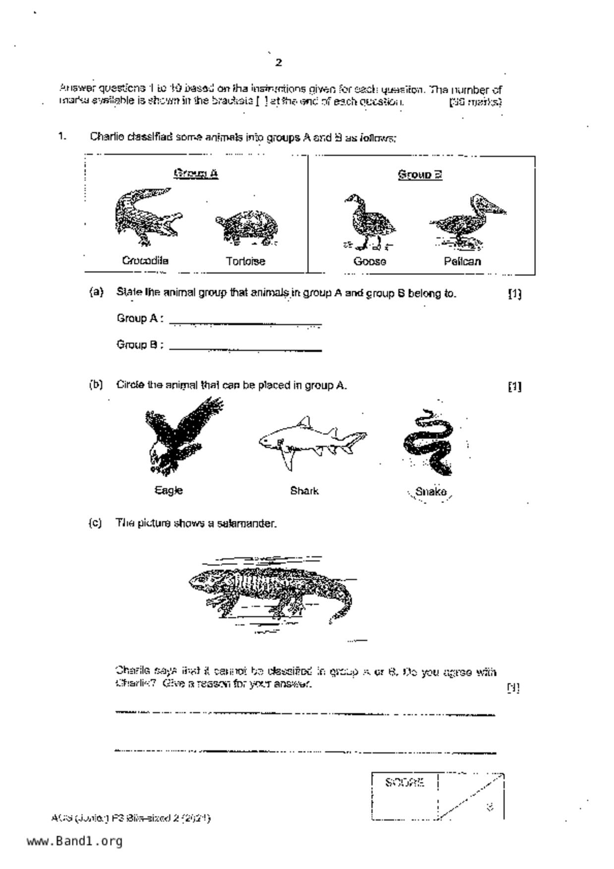 P3Science試卷