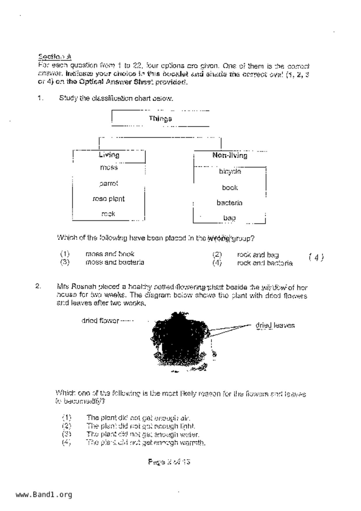 P3Science試卷