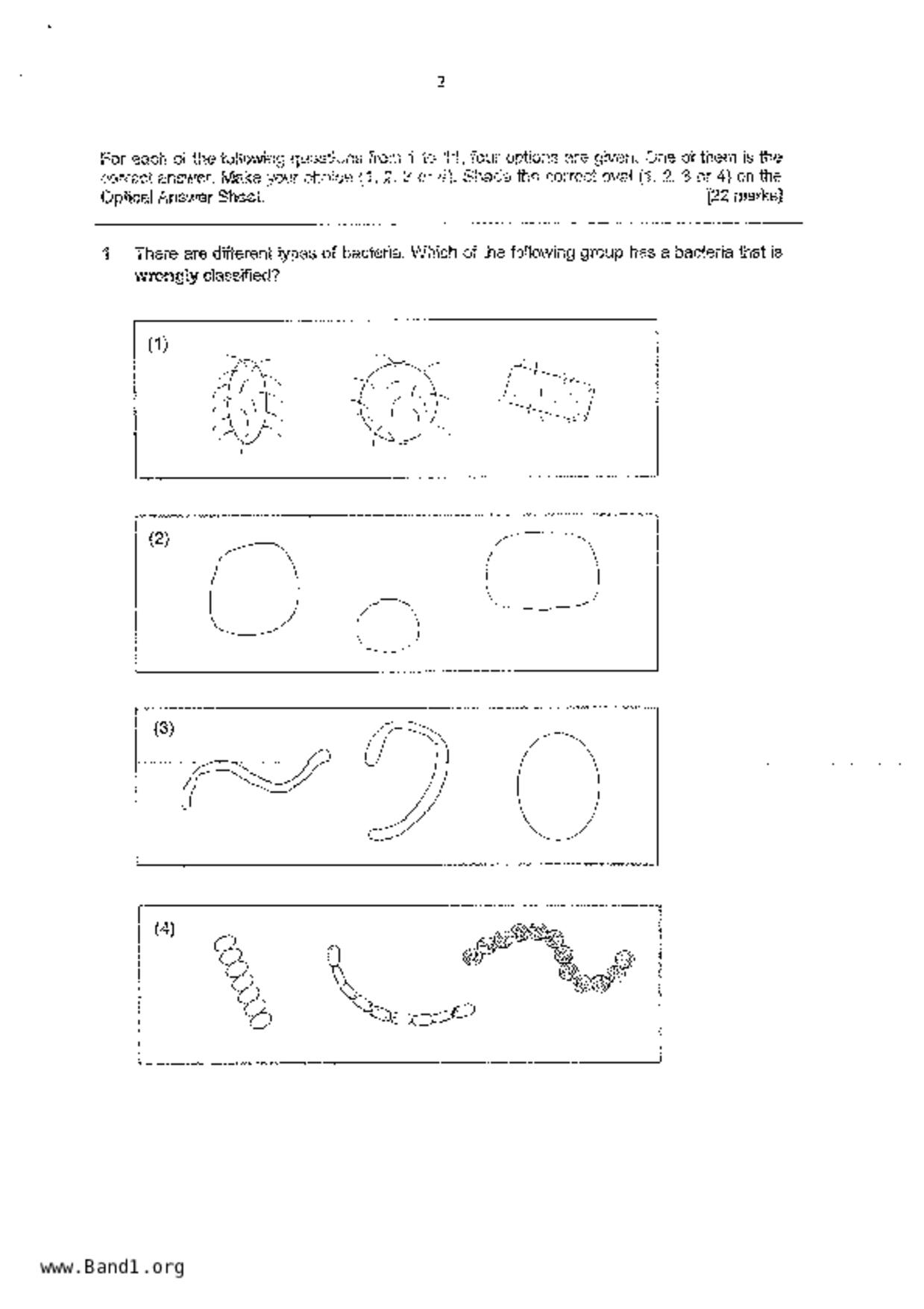 P3Science試卷