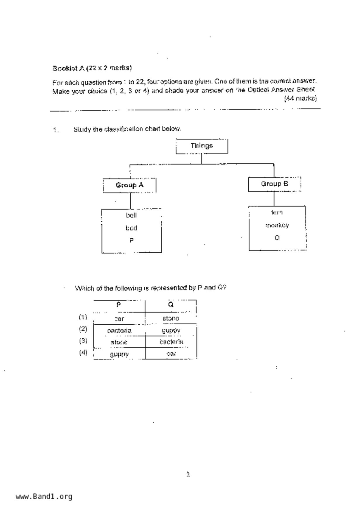 P3Science試卷