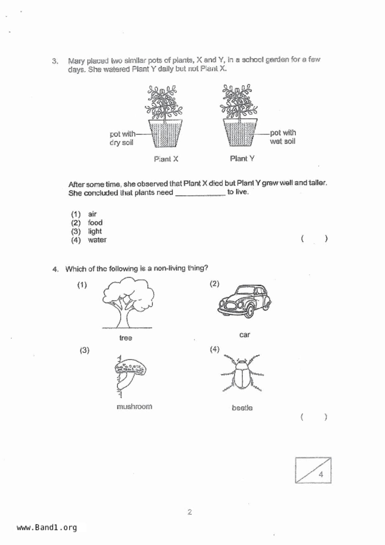 P3Science試卷