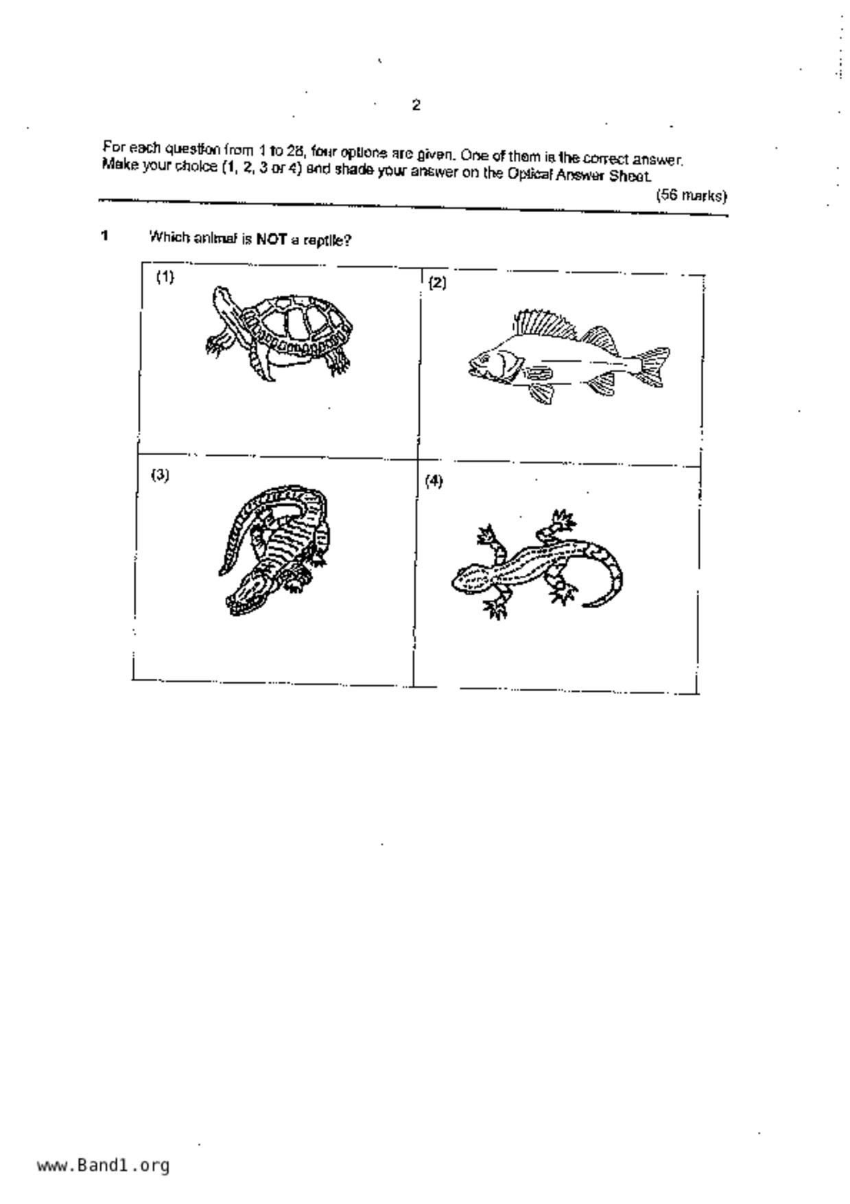 P4Science試卷
