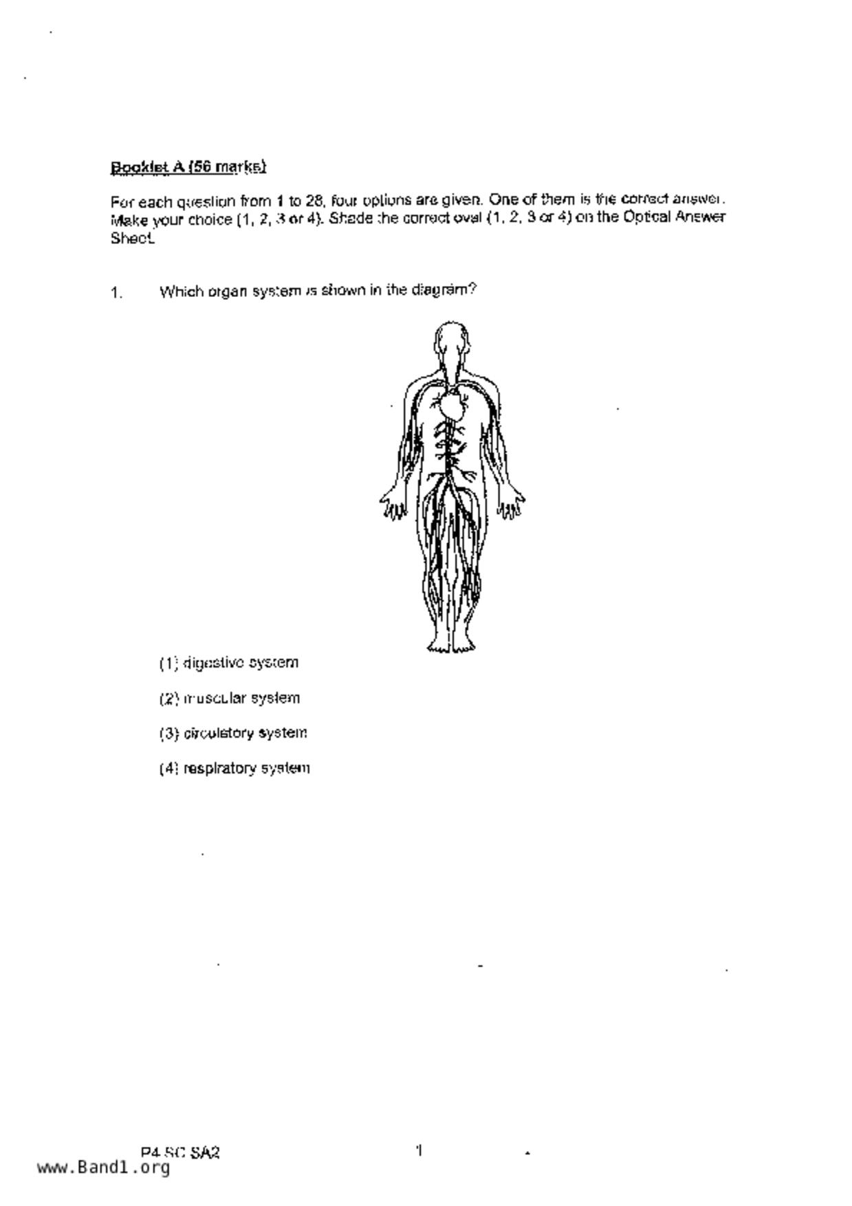 P4Science試卷