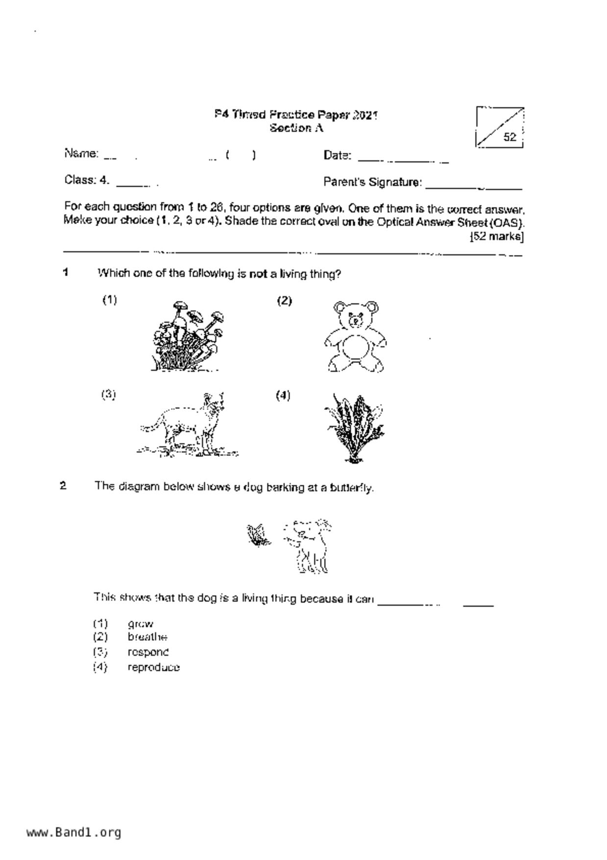 P4Science試卷