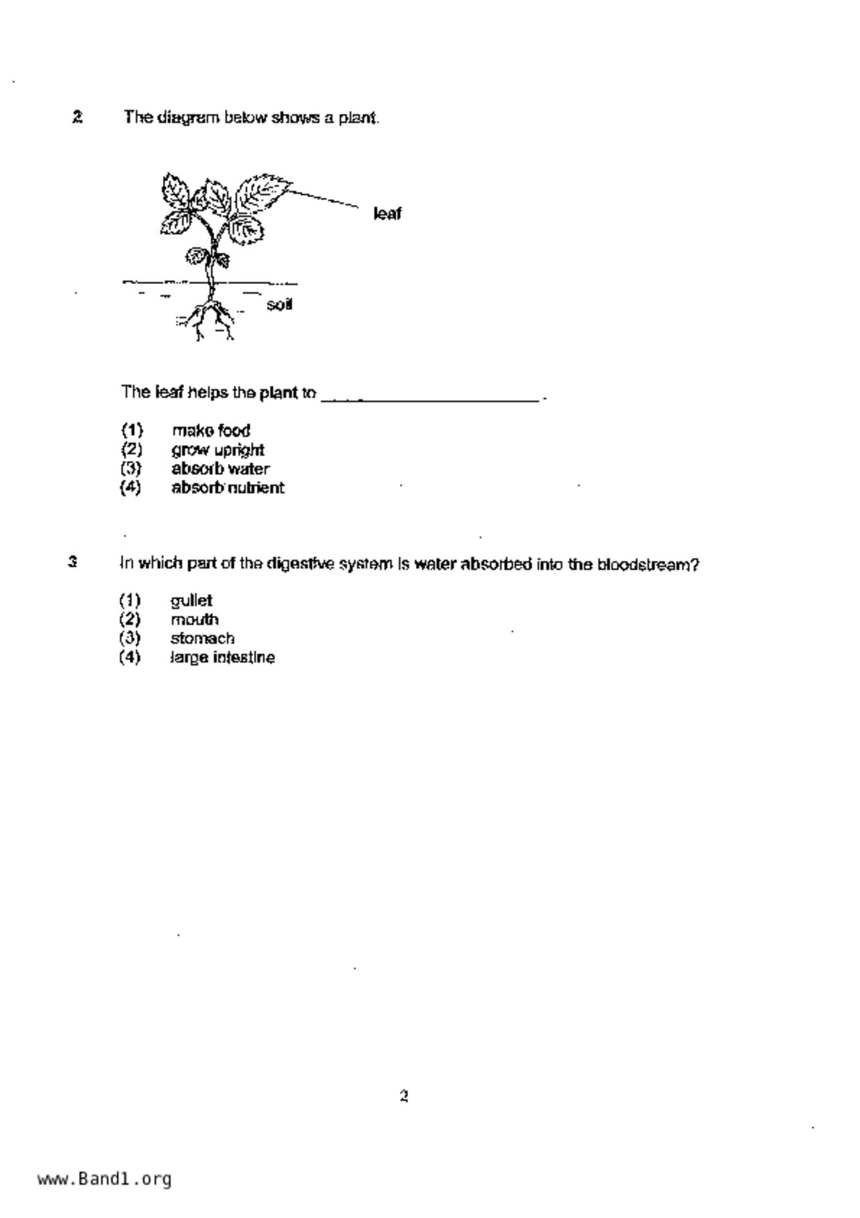 P4Science試卷