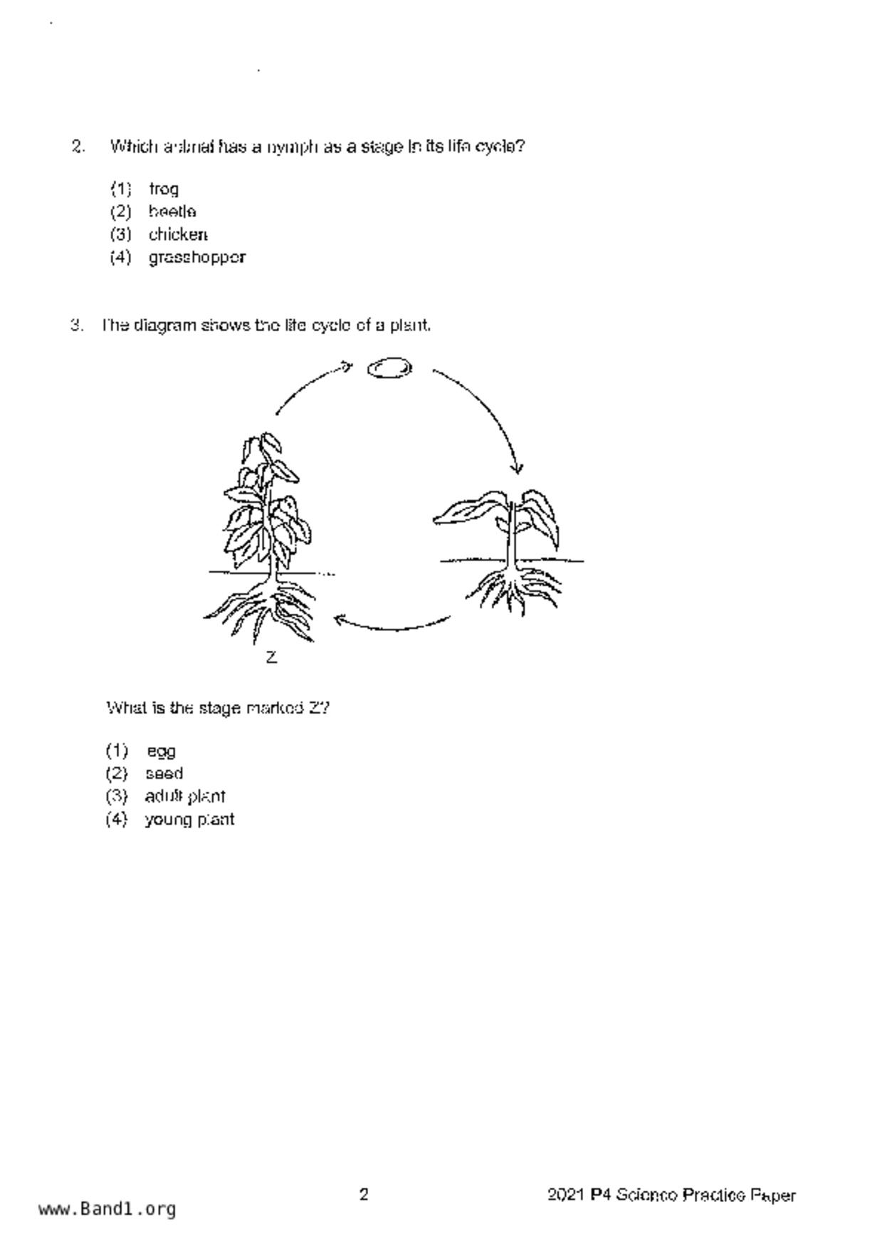 P4Science試卷