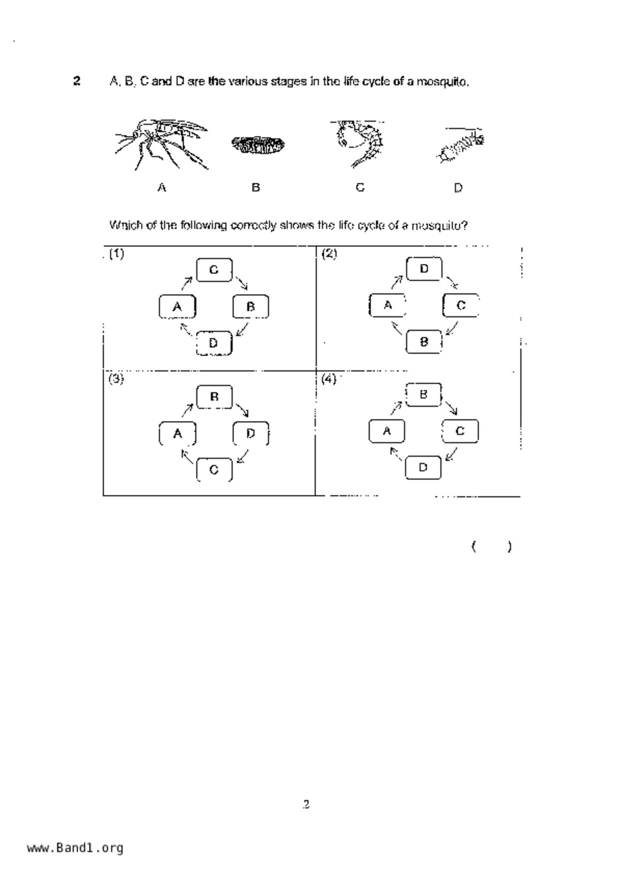 P4Science試卷