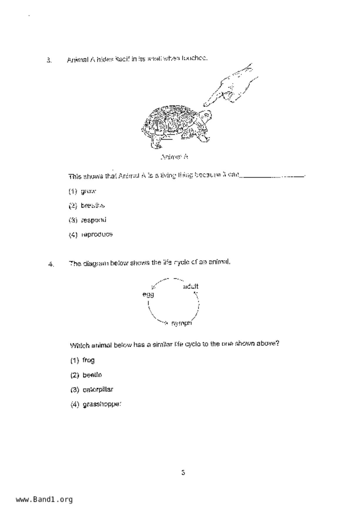 P4Science試卷