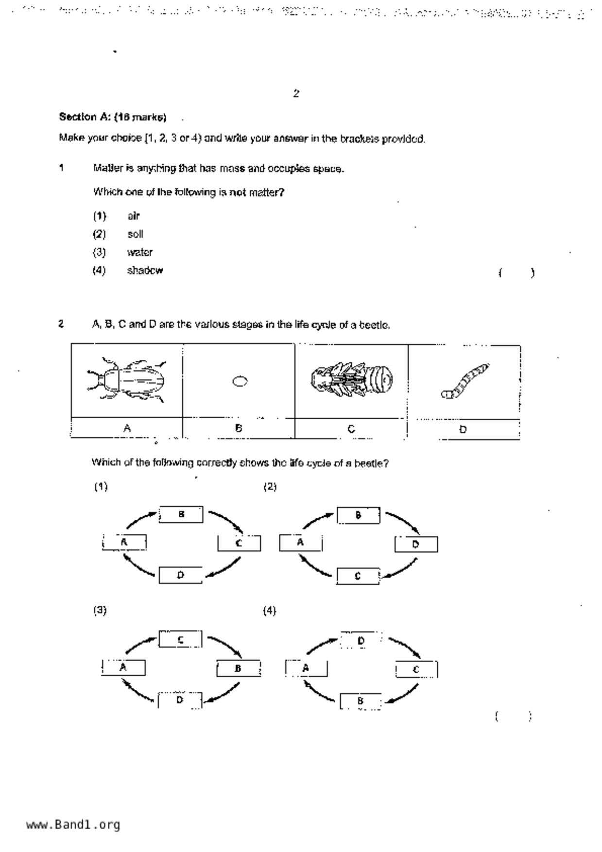 P4Science試卷