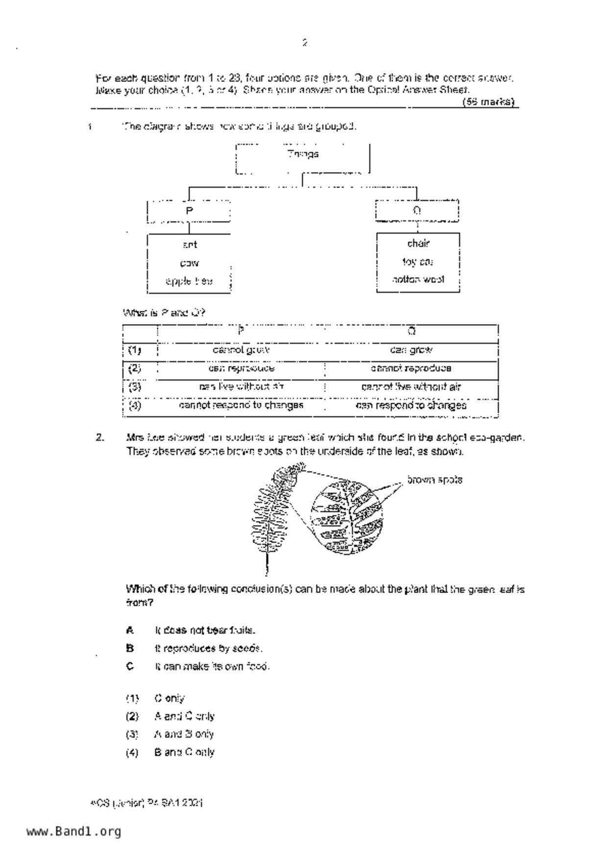 P4Science試卷