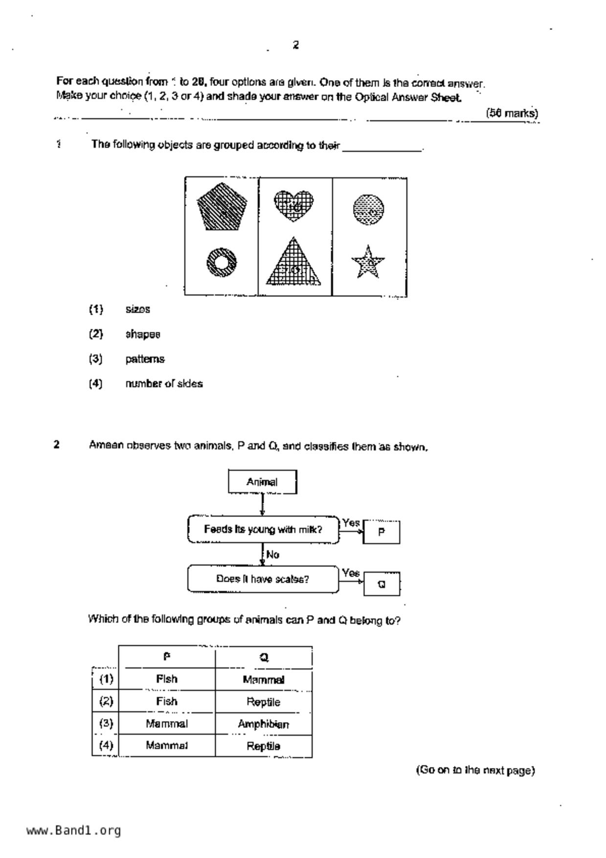 P4Science試卷