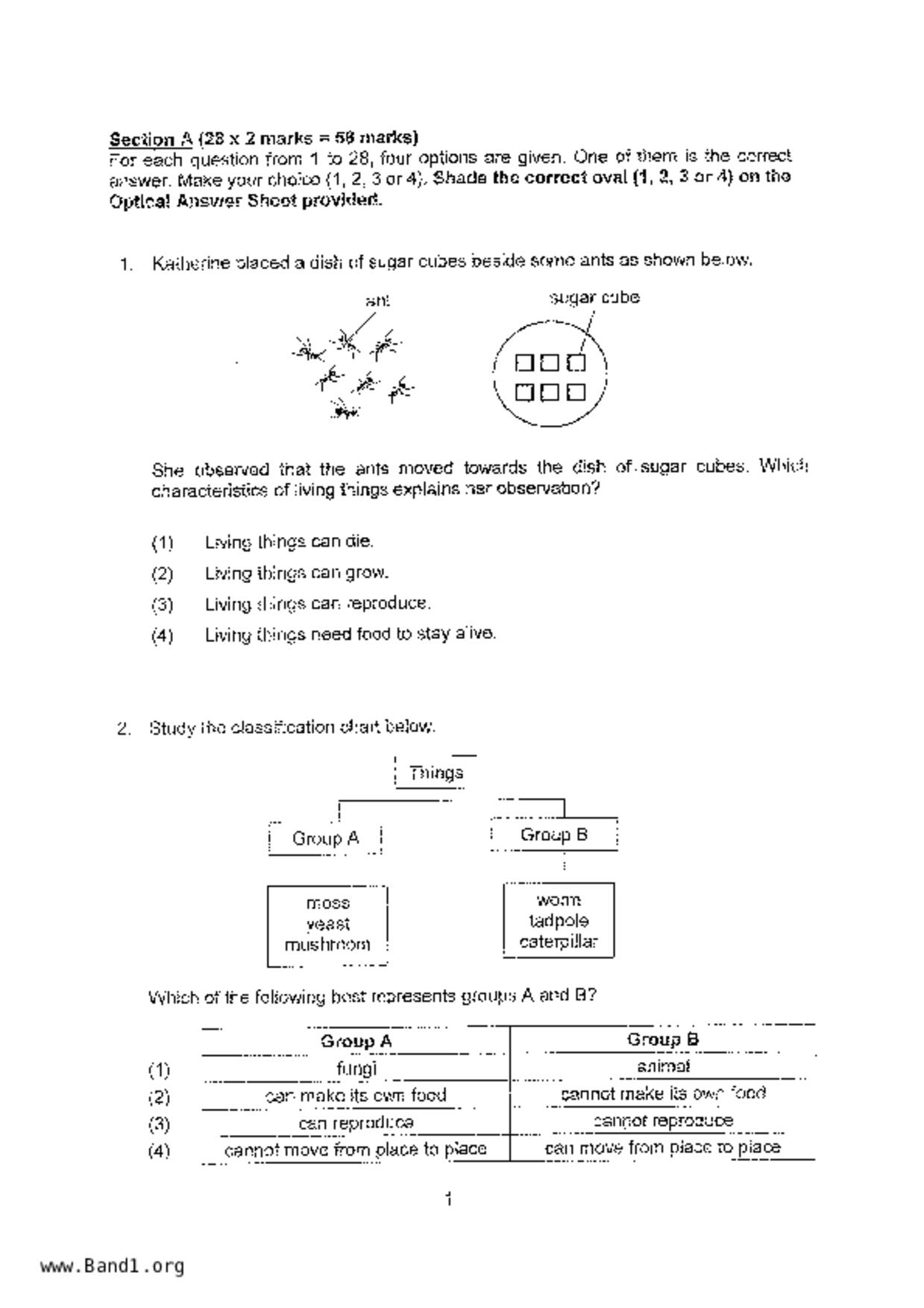 P4Science試卷