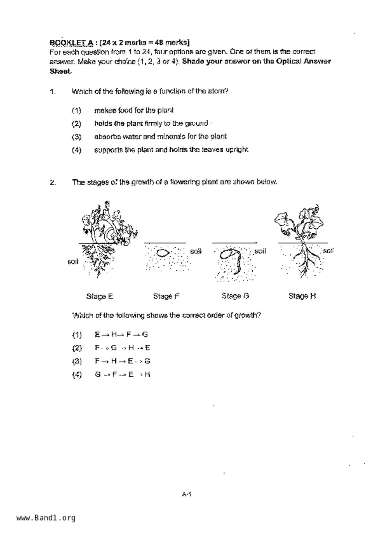 P4Science試卷