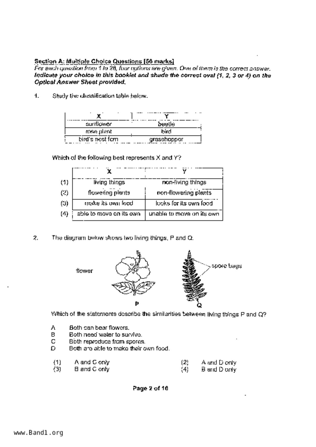 P4Science試卷