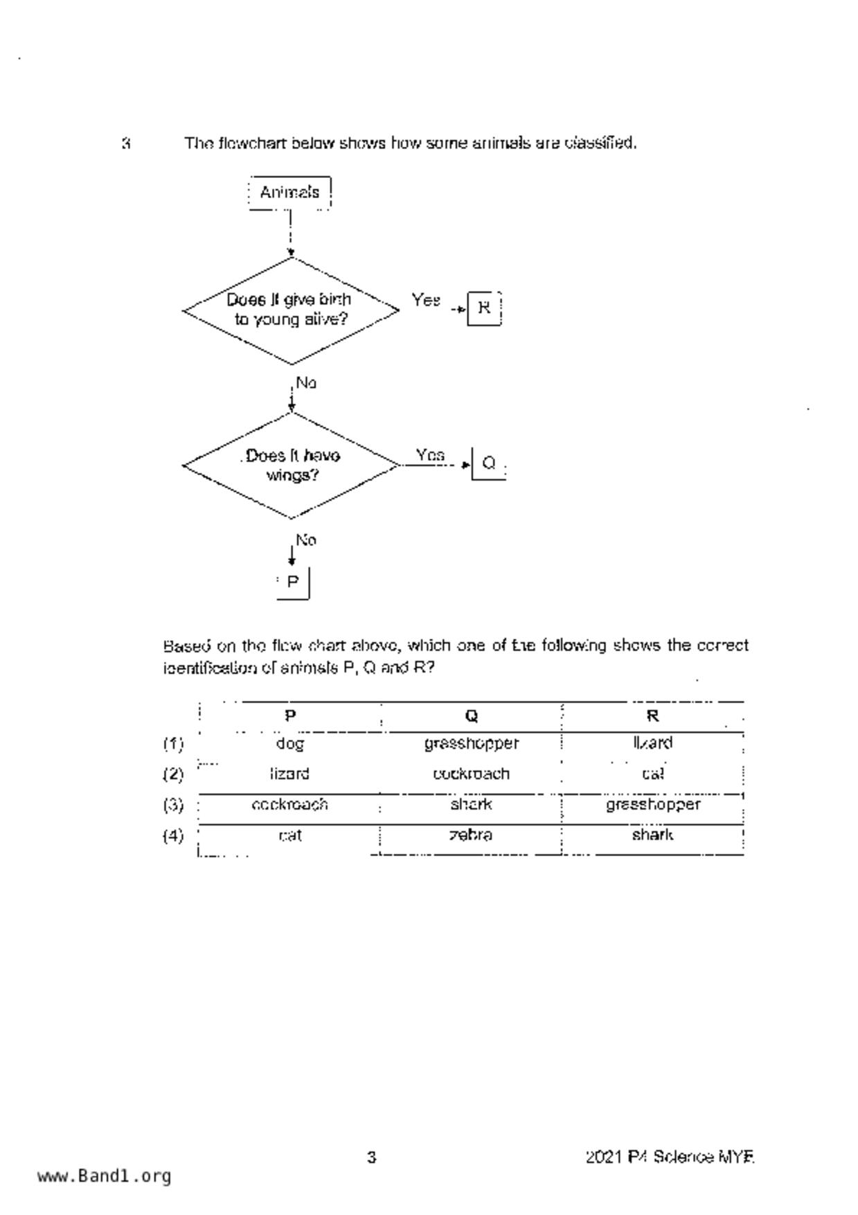 P4Science試卷