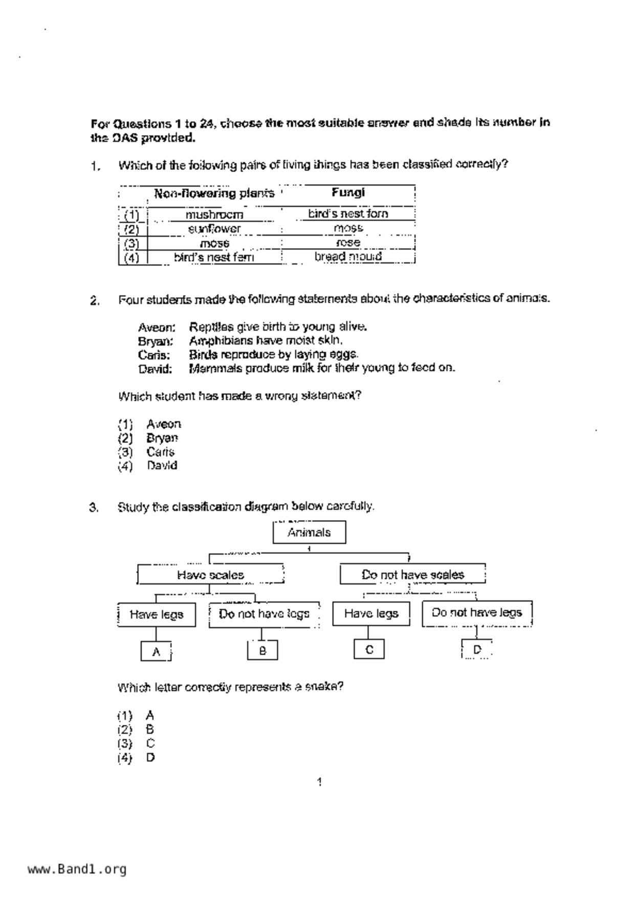 P4Science試卷
