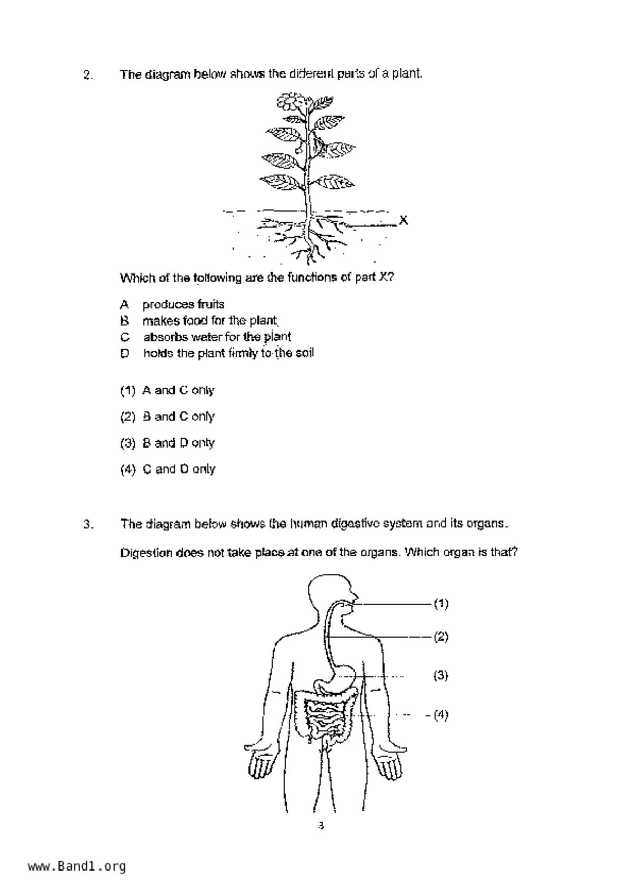 P4Science試卷