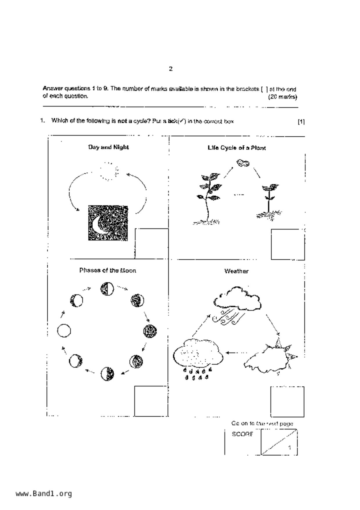 P4Science試卷