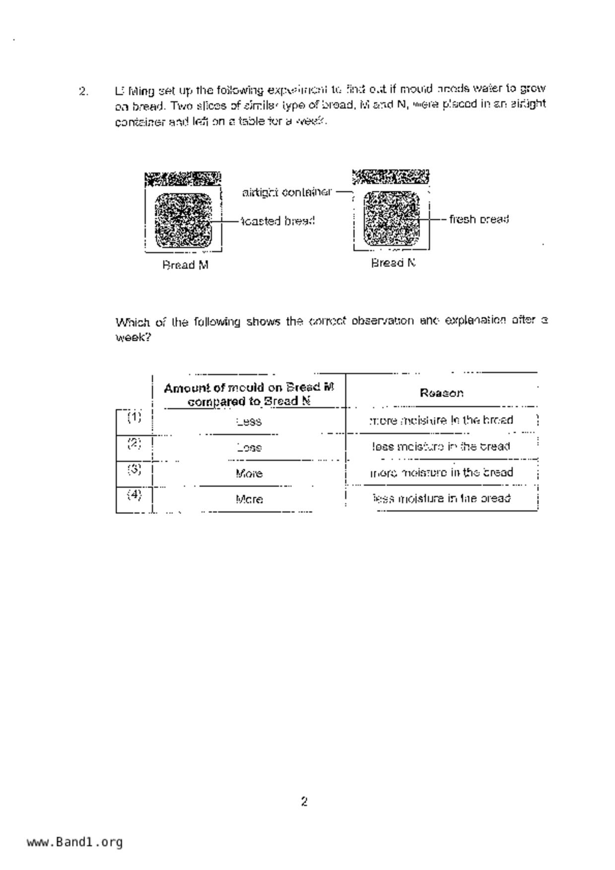 P4Science試卷