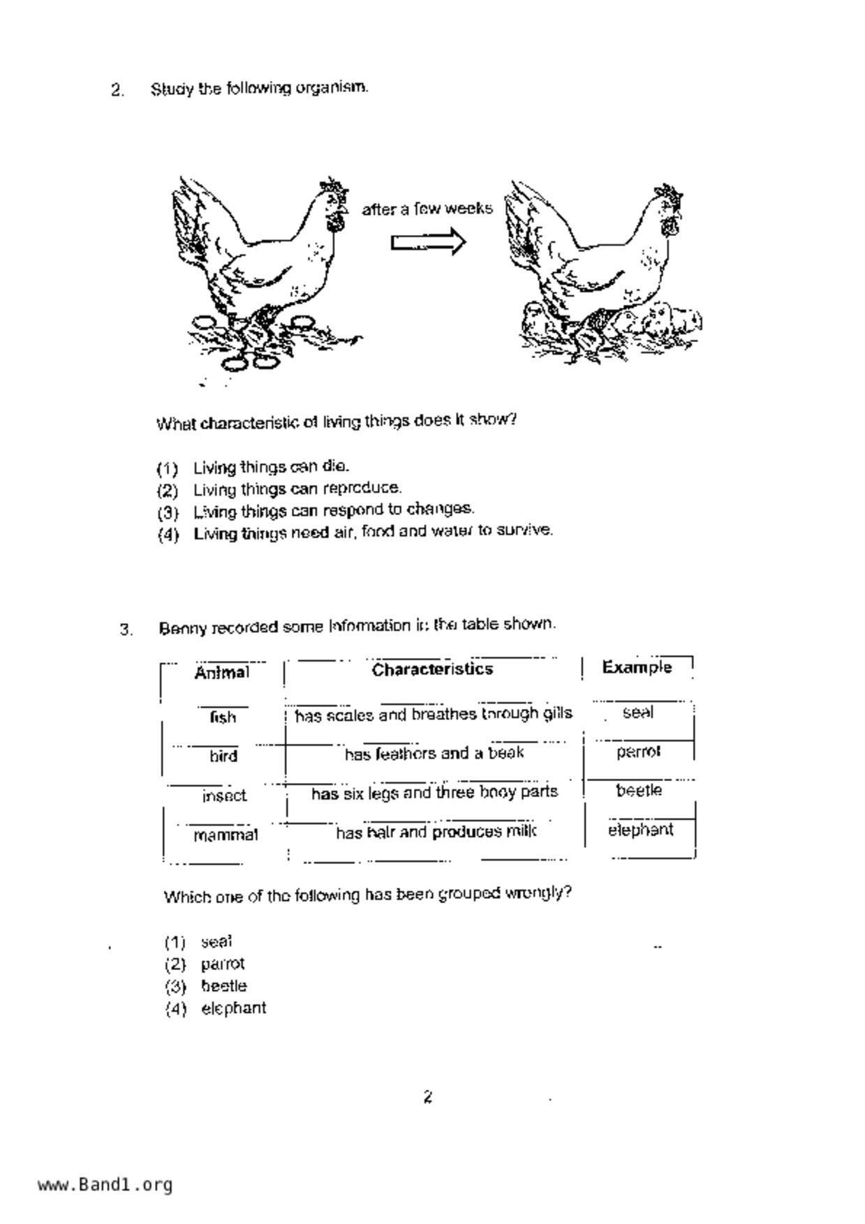 P4Science試卷