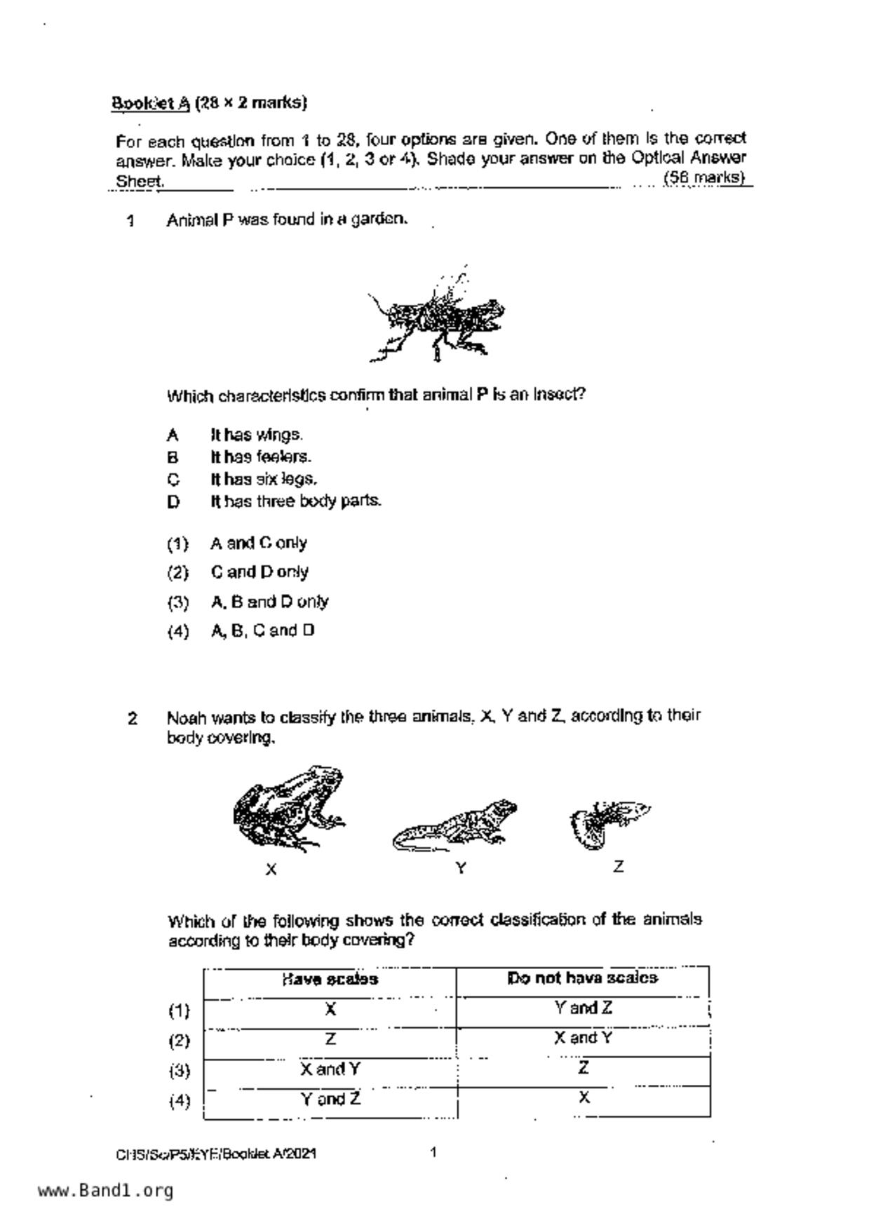P5Science試卷