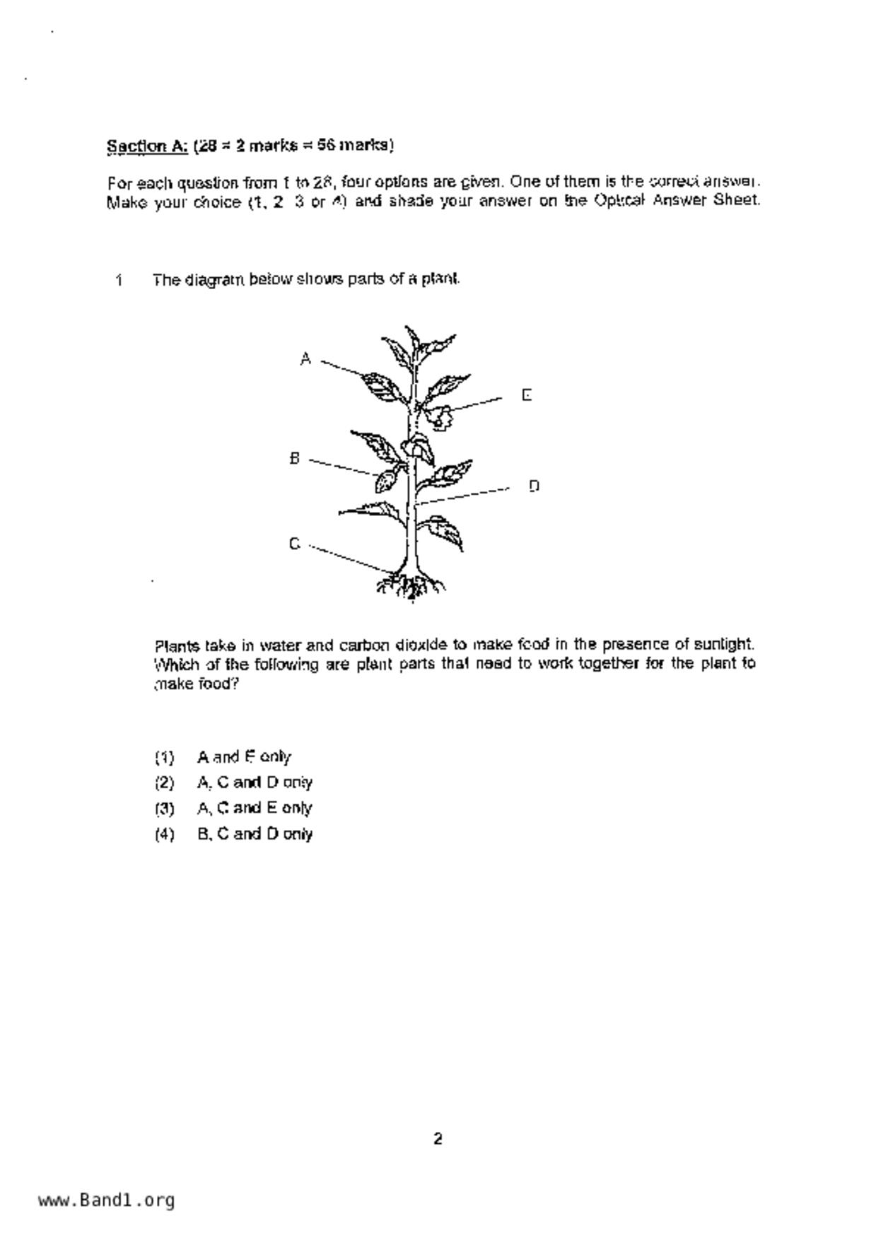 P5Science試卷