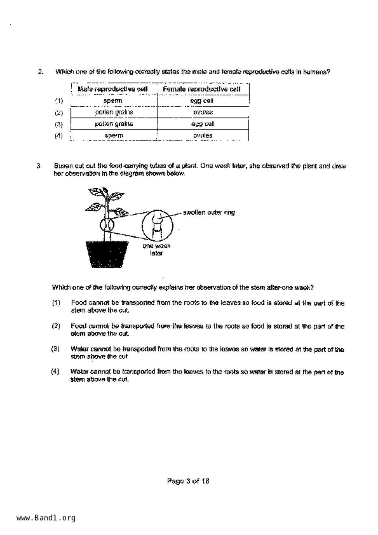 P5Science試卷