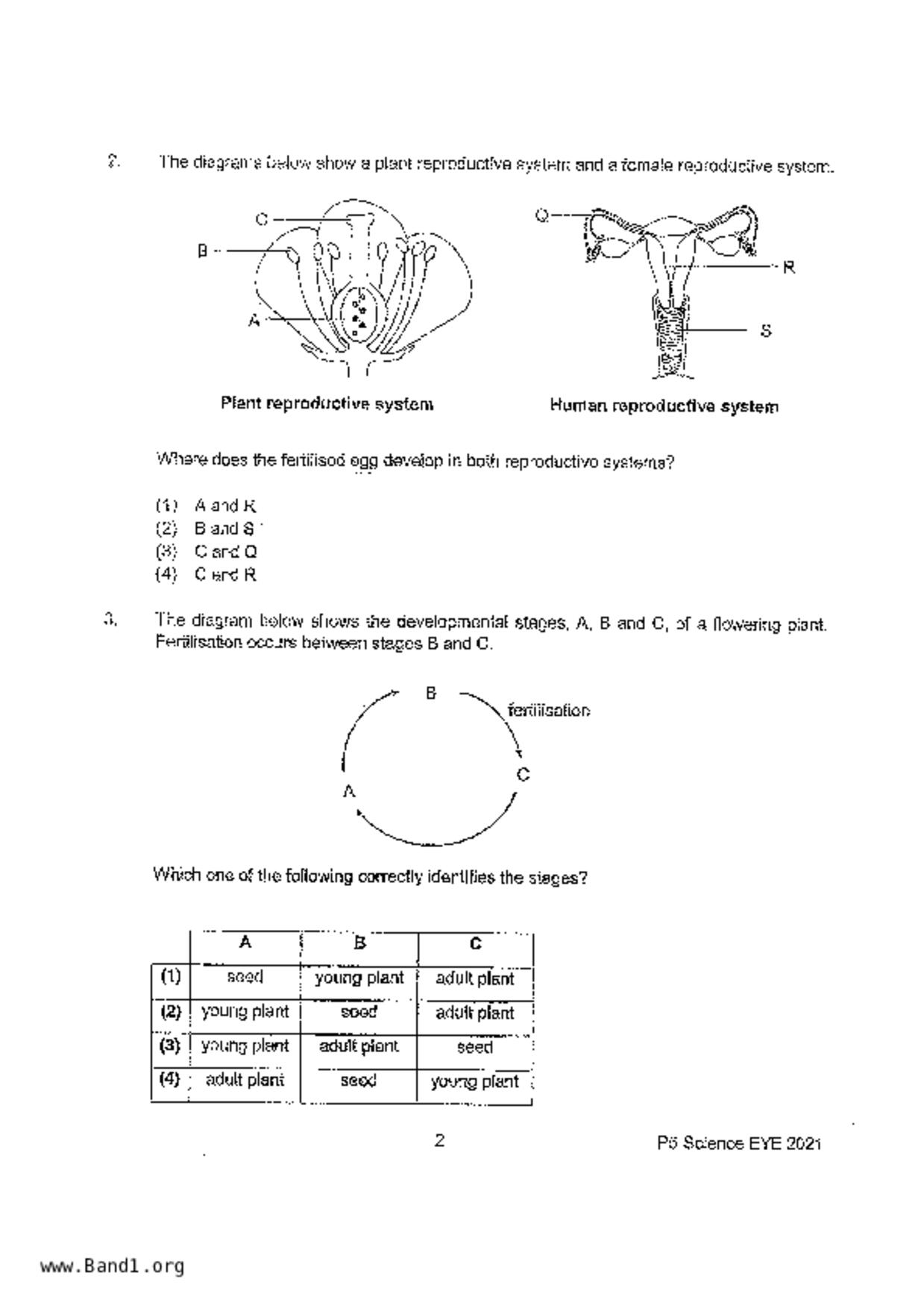 P5Science試卷