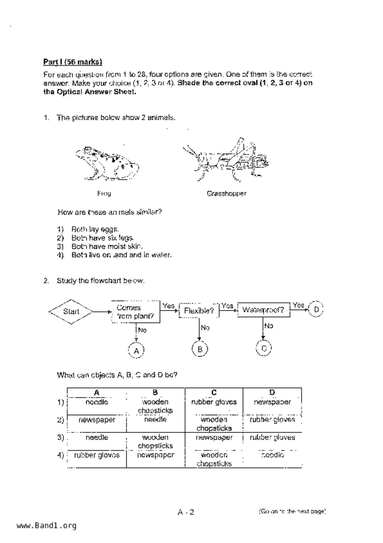 P5Science試卷