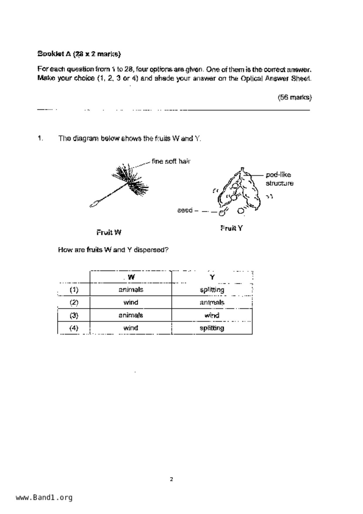 P5Science試卷