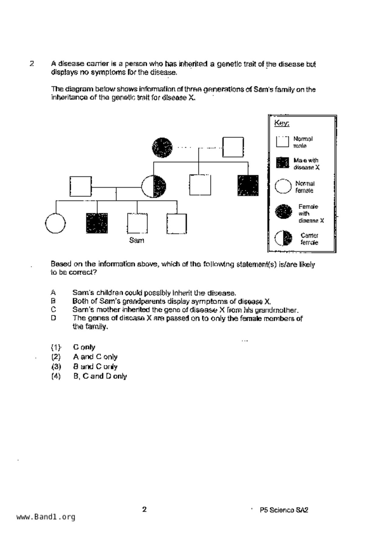 P5Science試卷