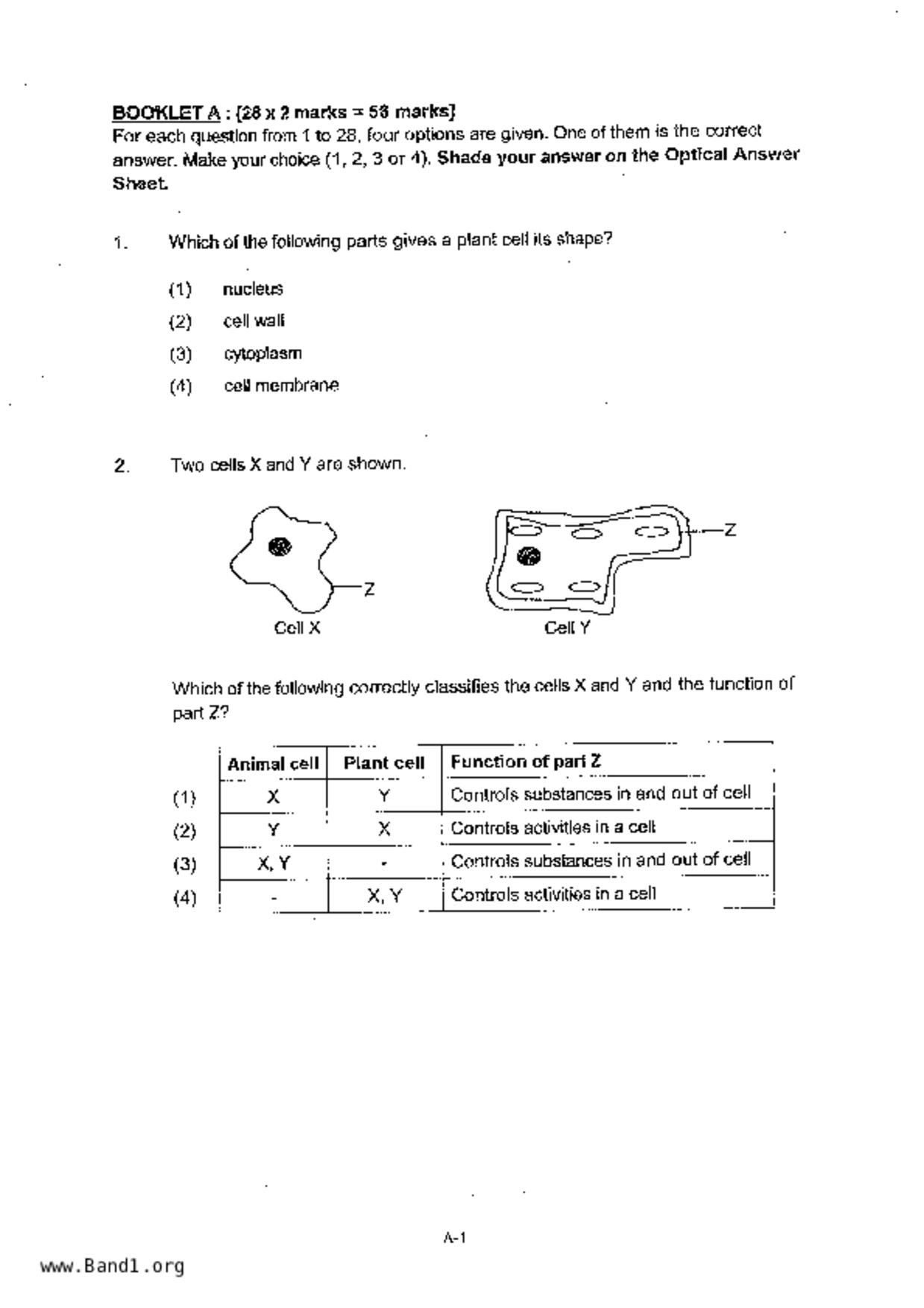 P5Science試卷