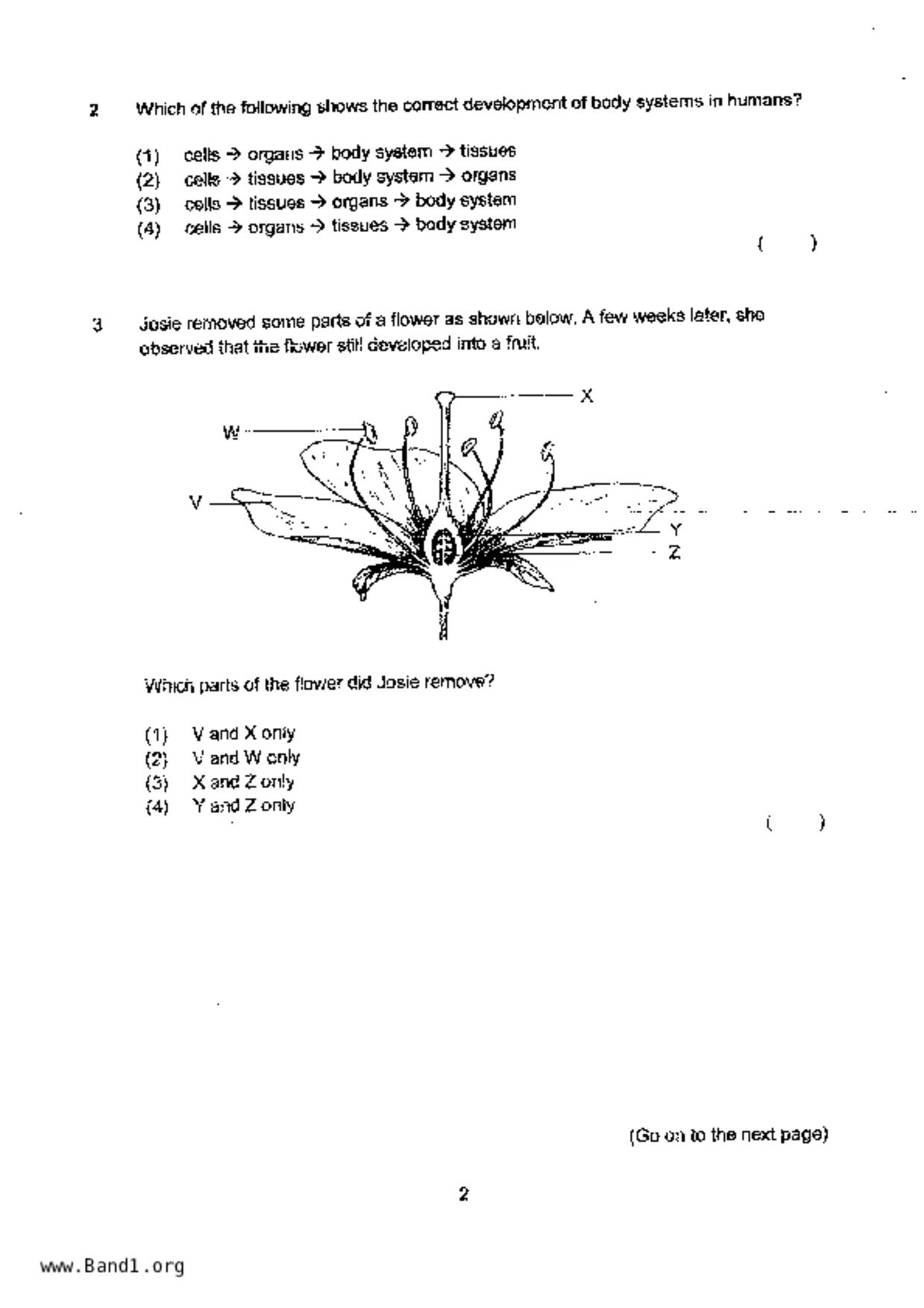 P5Science試卷