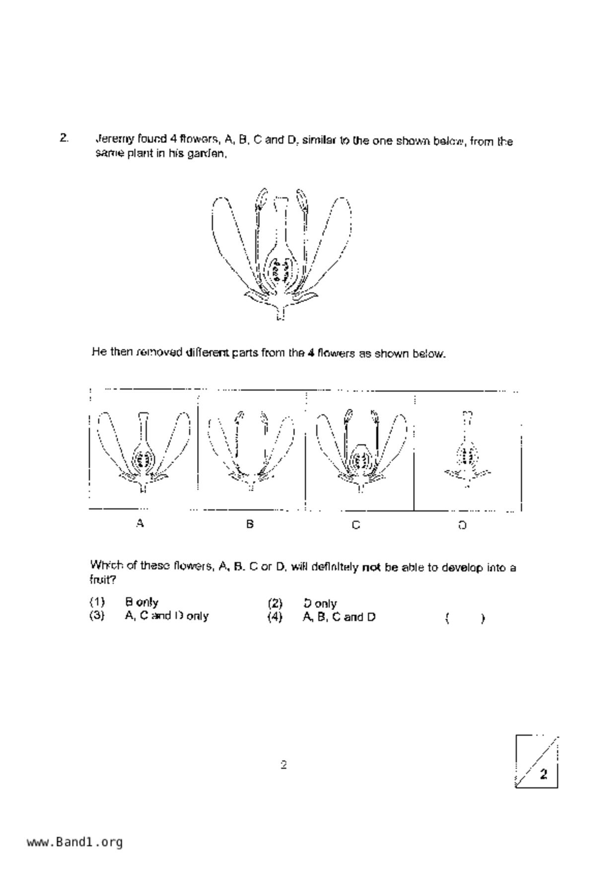 P5Science試卷