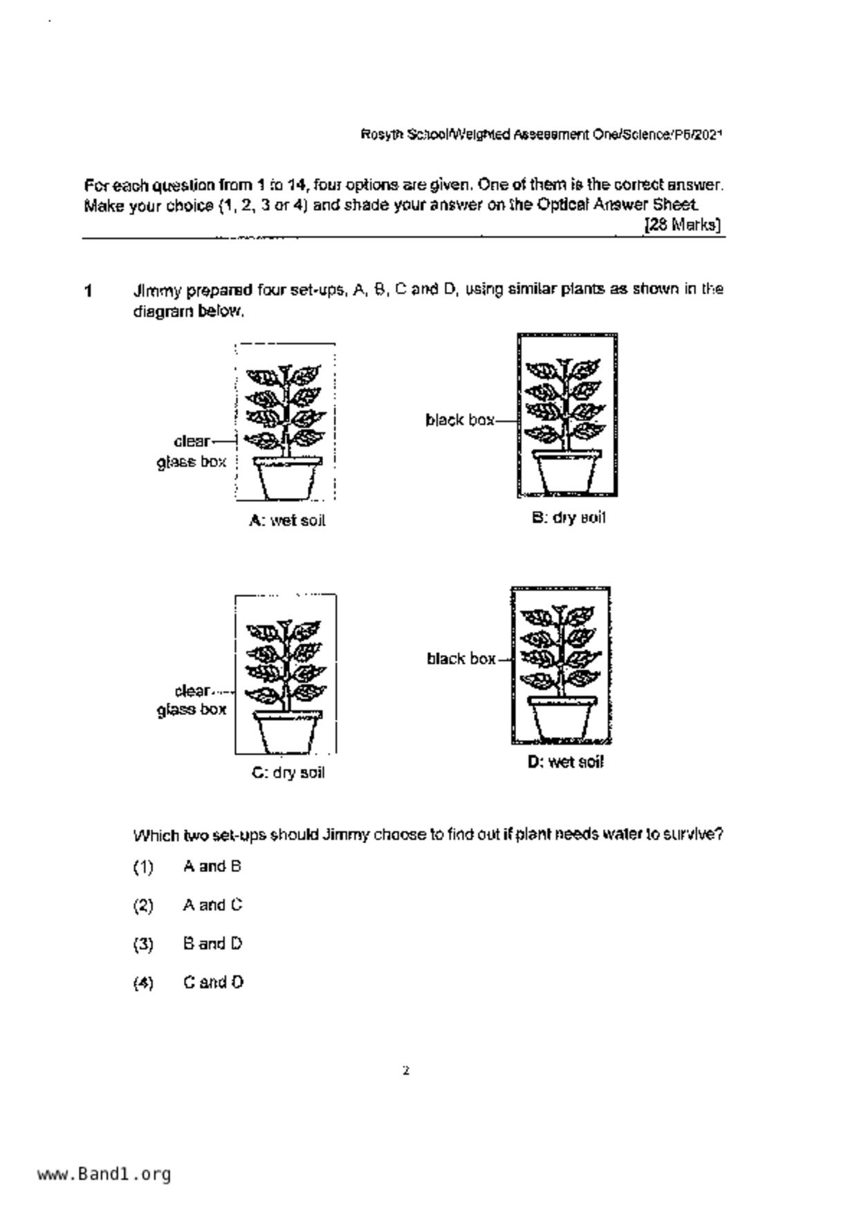 P5Science試卷