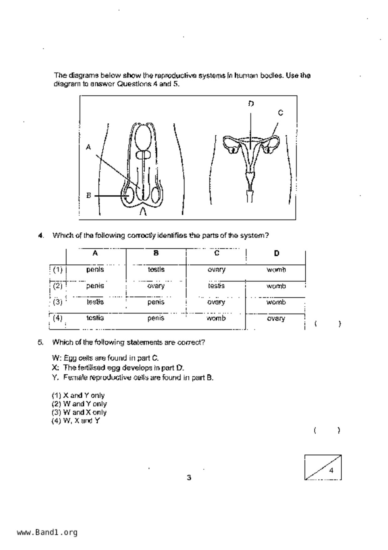 P5Science試卷