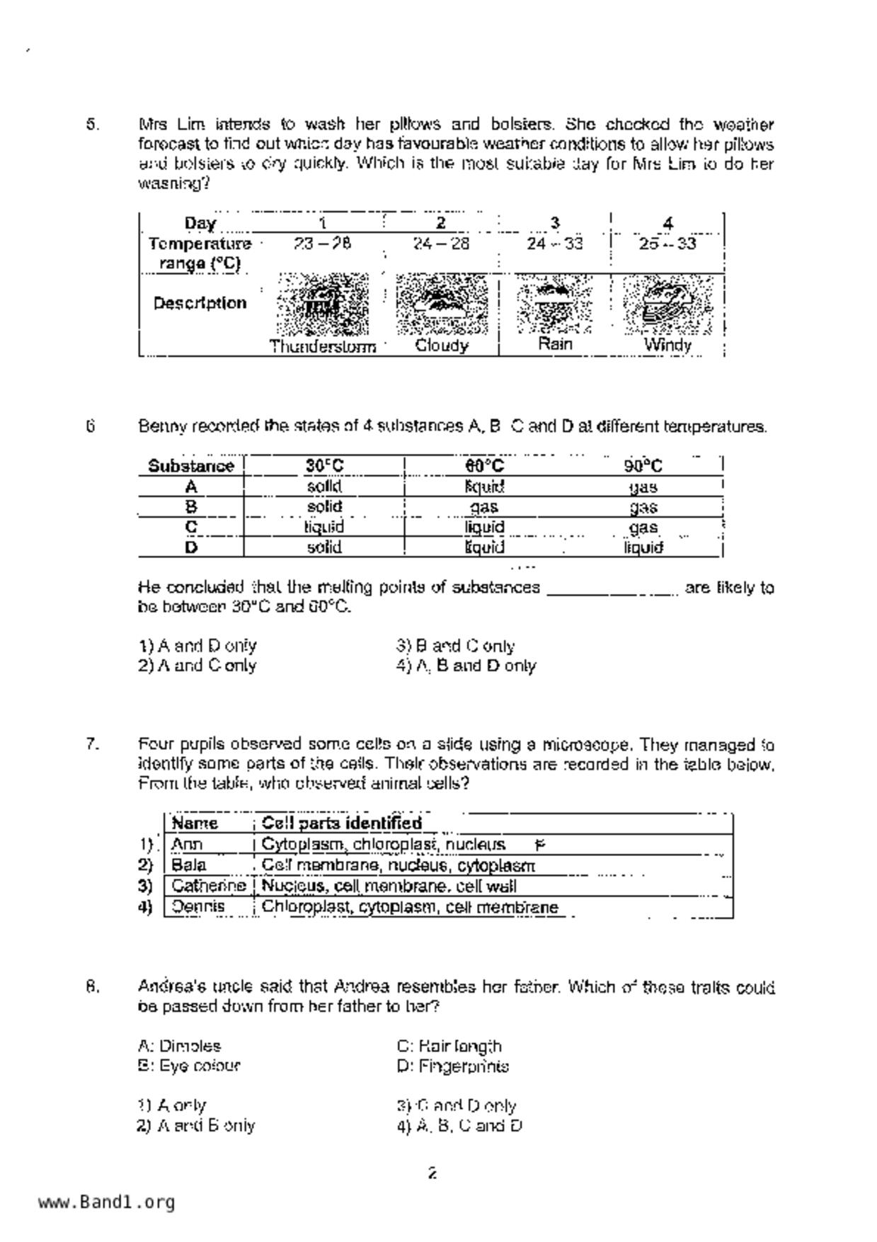 P5Science試卷