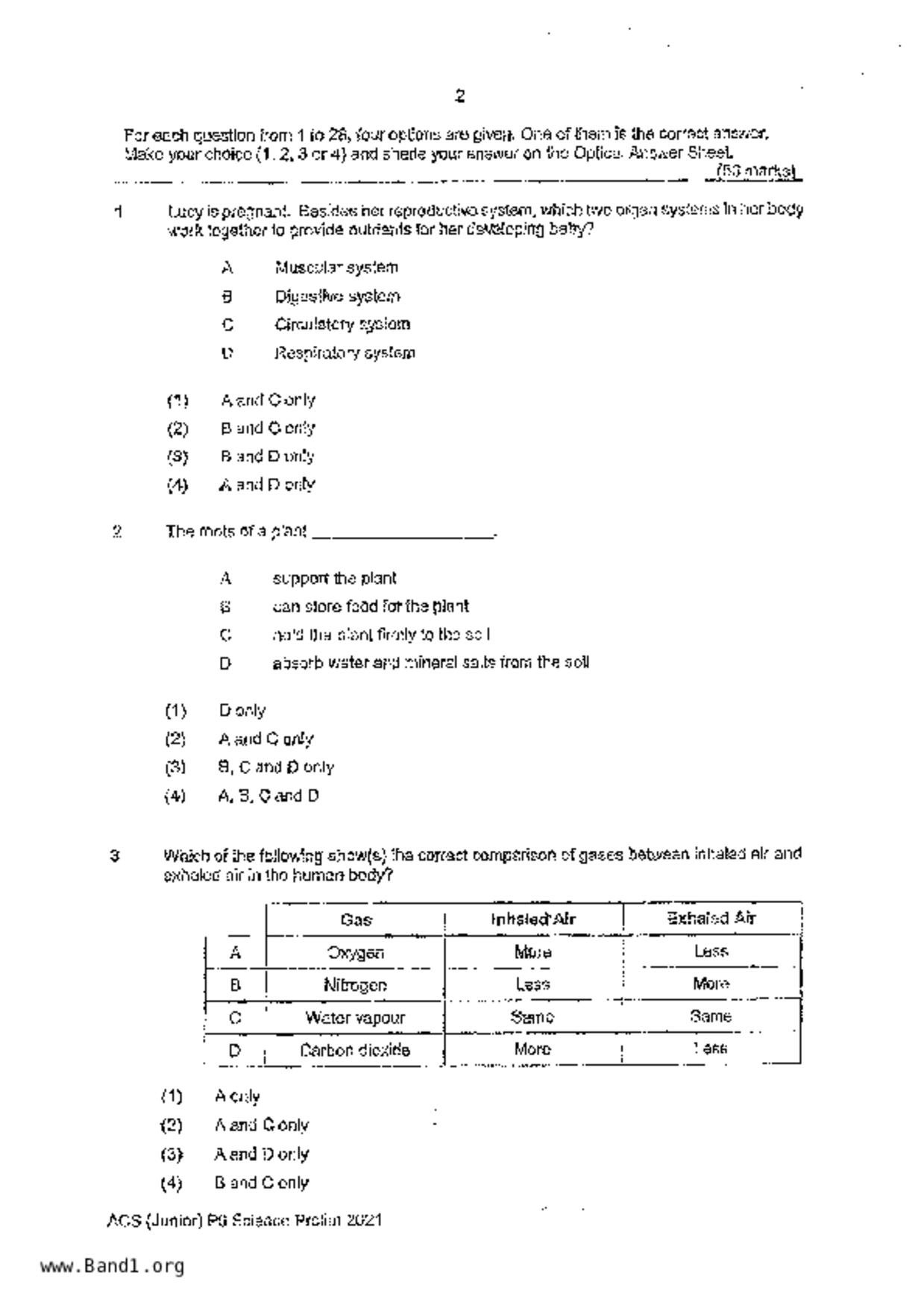 P6Science試卷