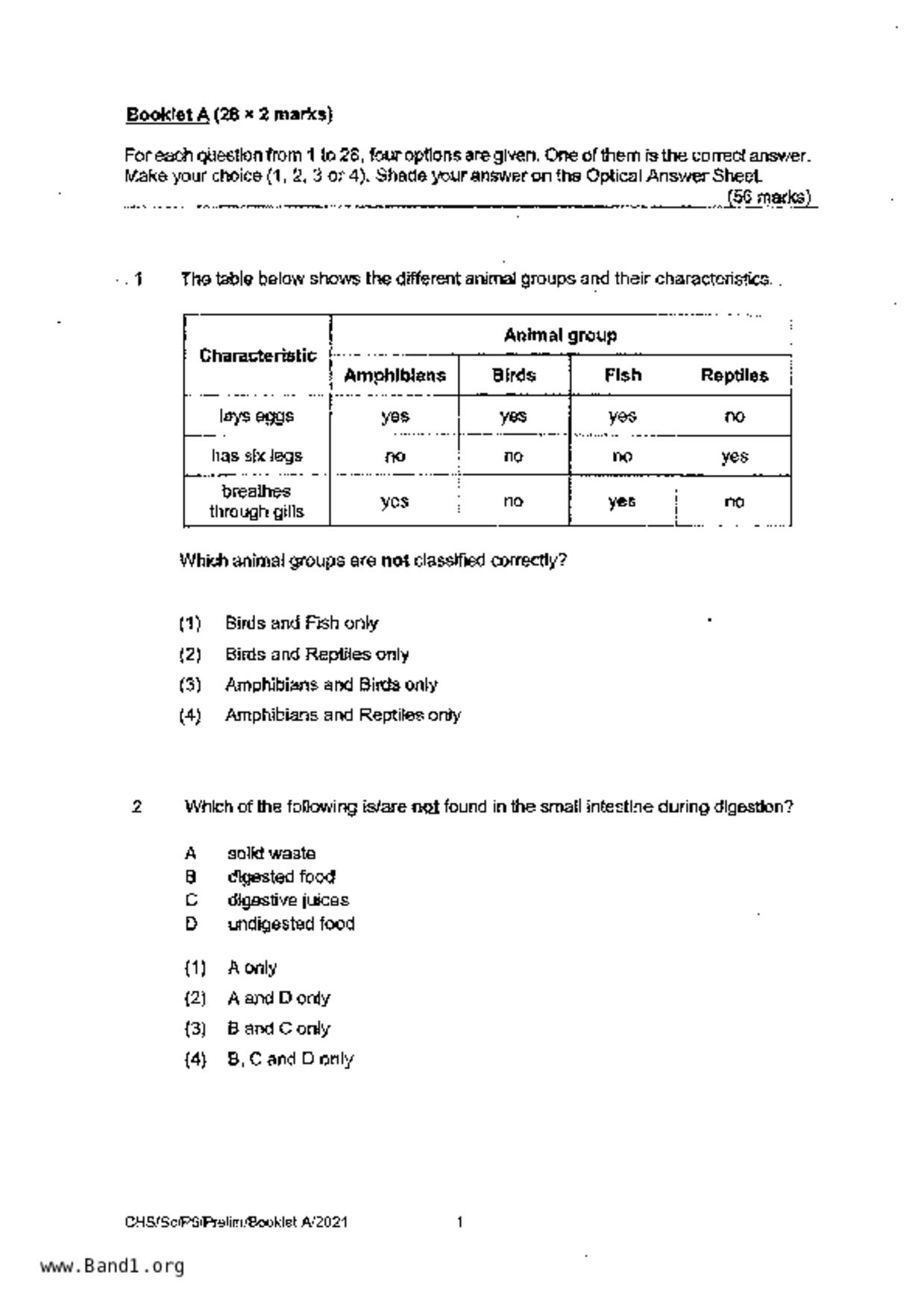 P6Science試卷