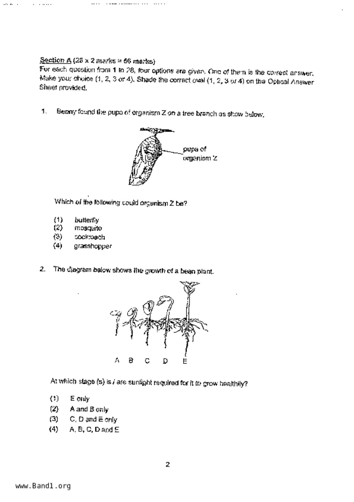 P6Science試卷
