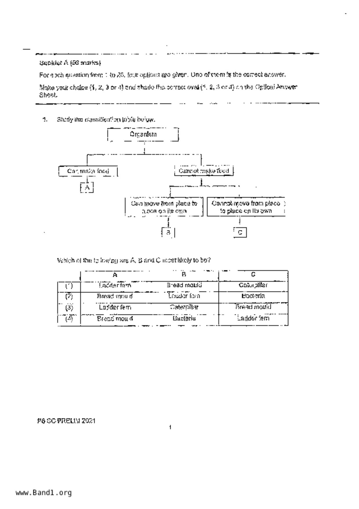 P6Science試卷