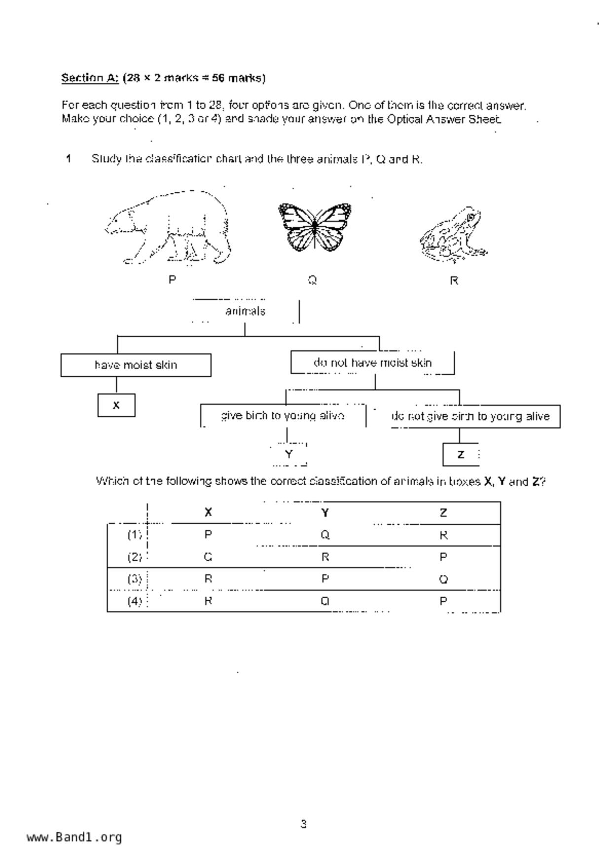 P6Science試卷