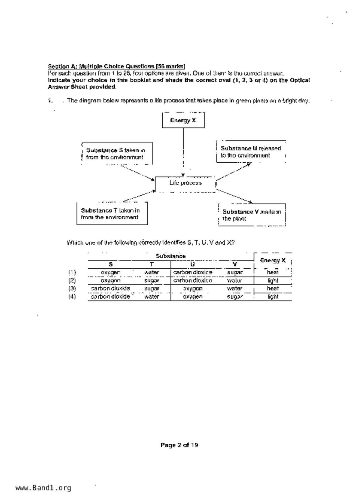 P6Science試卷