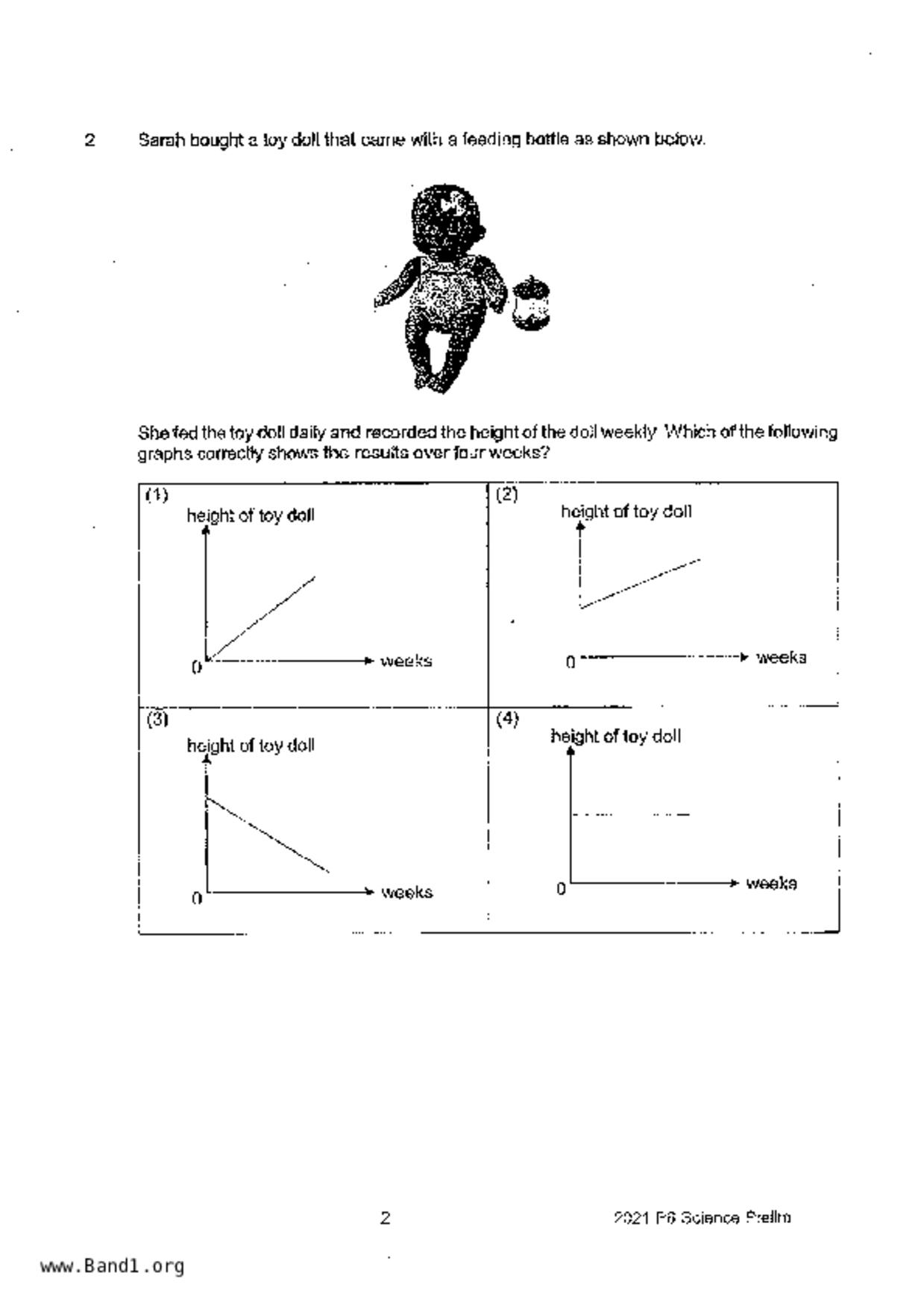 P6Science試卷