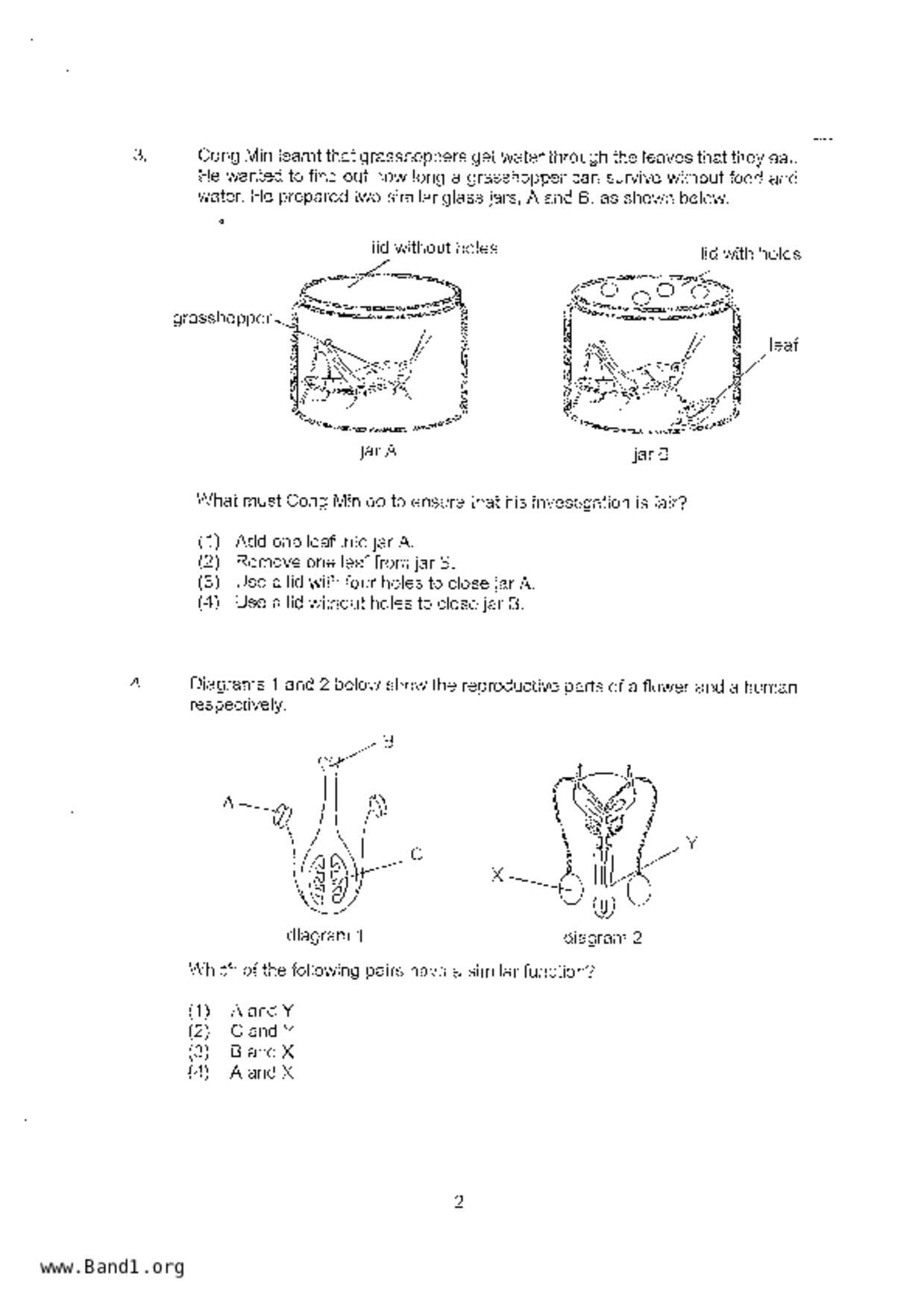 P6Science試卷
