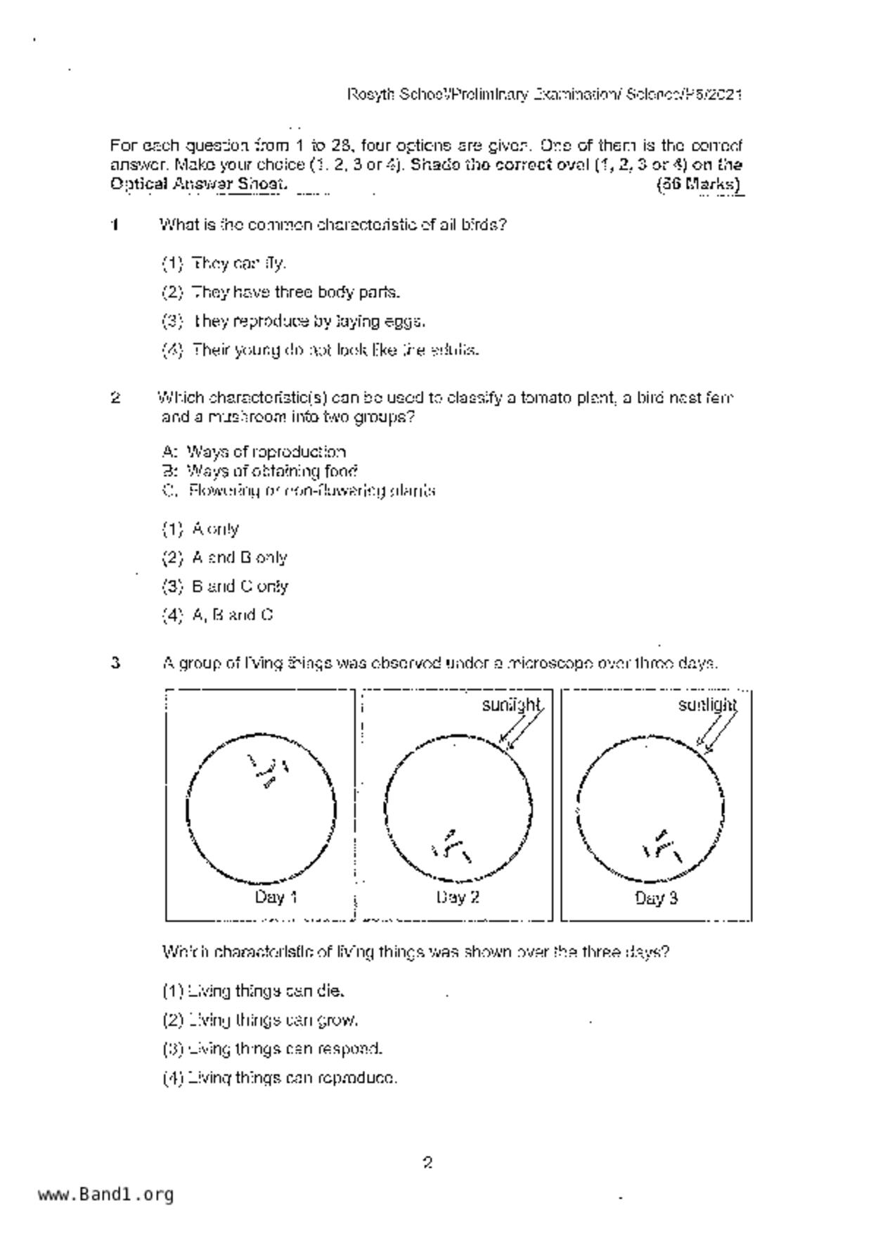 P6Science試卷