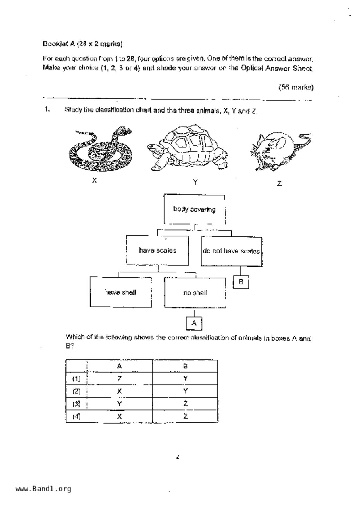 P6Science試卷