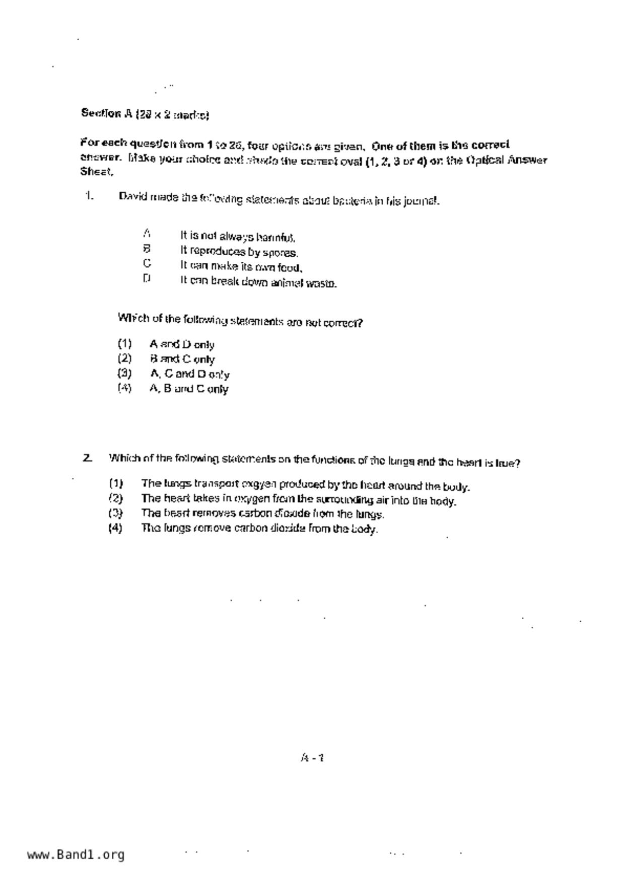 P6Science試卷