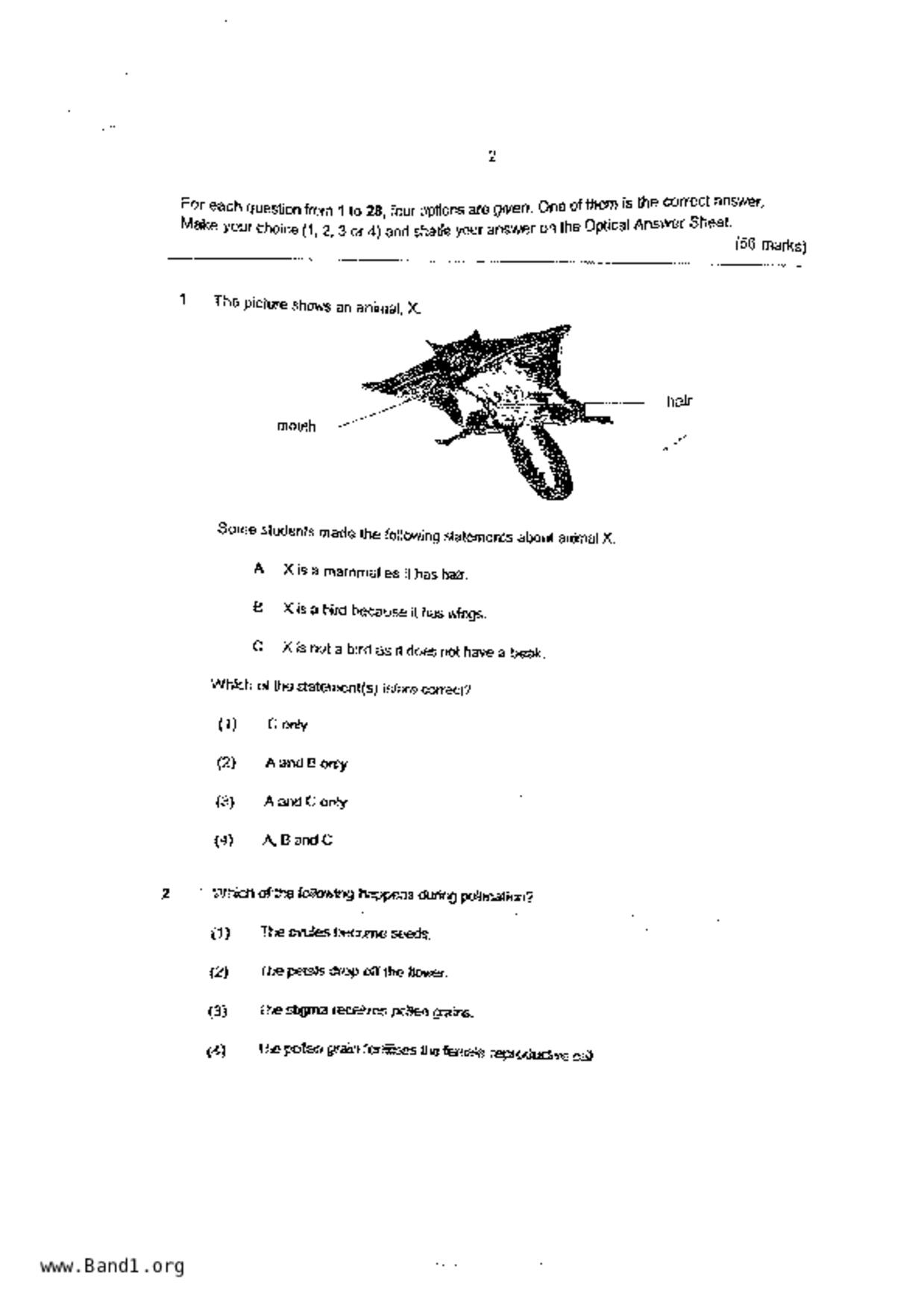 P6Science試卷
