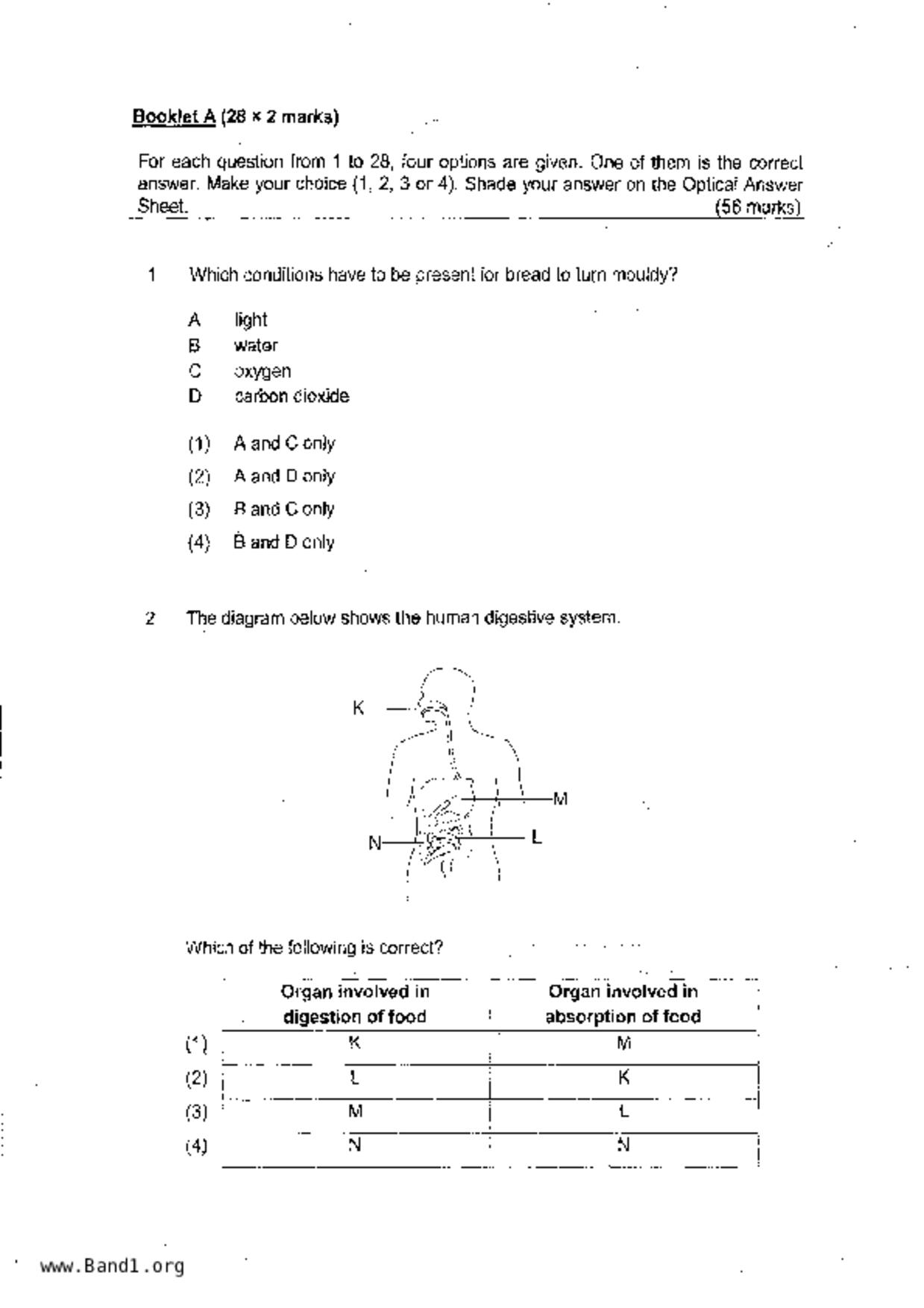 P6Science試卷
